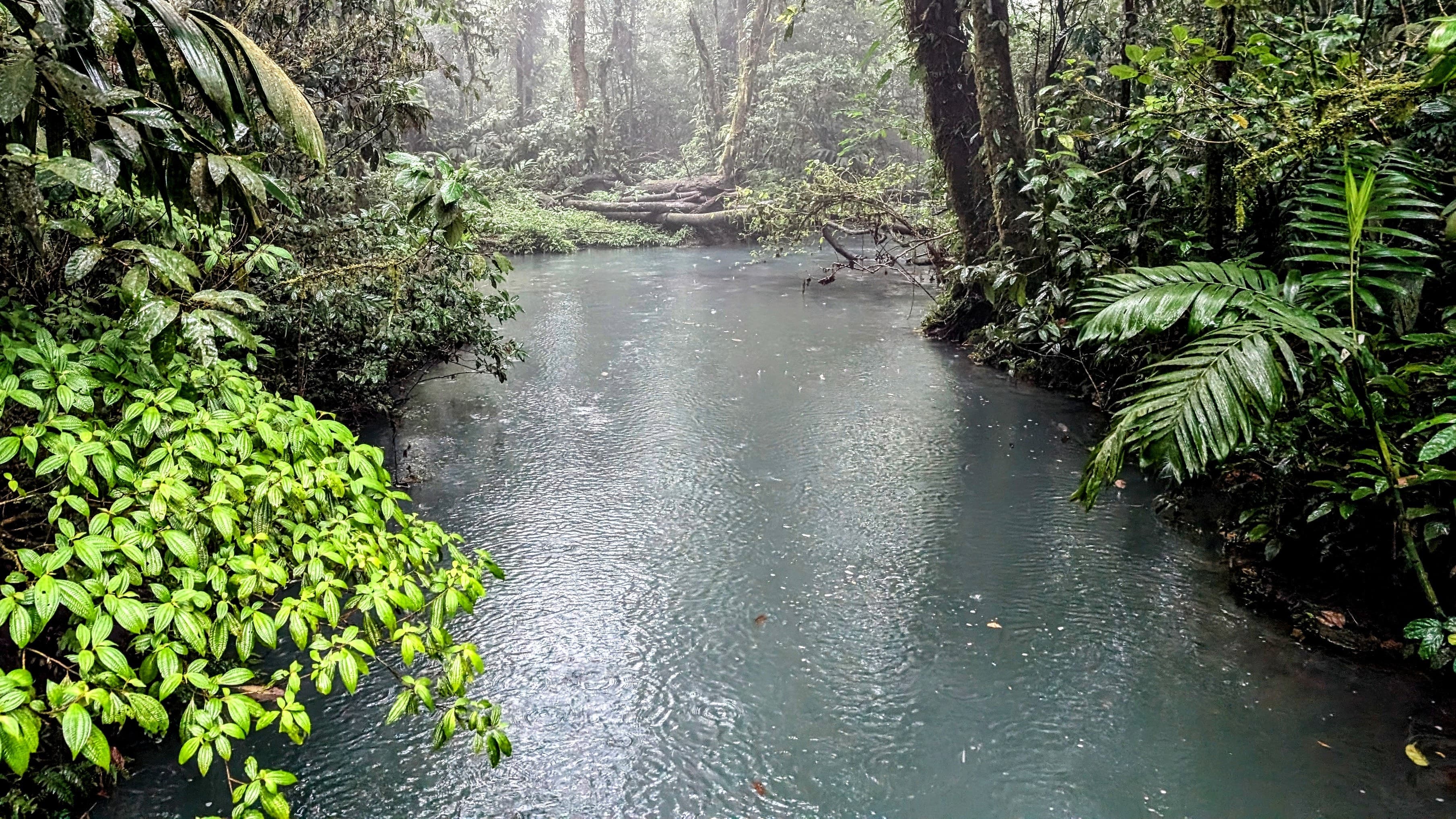 Rain on a forest river. Alajuela.