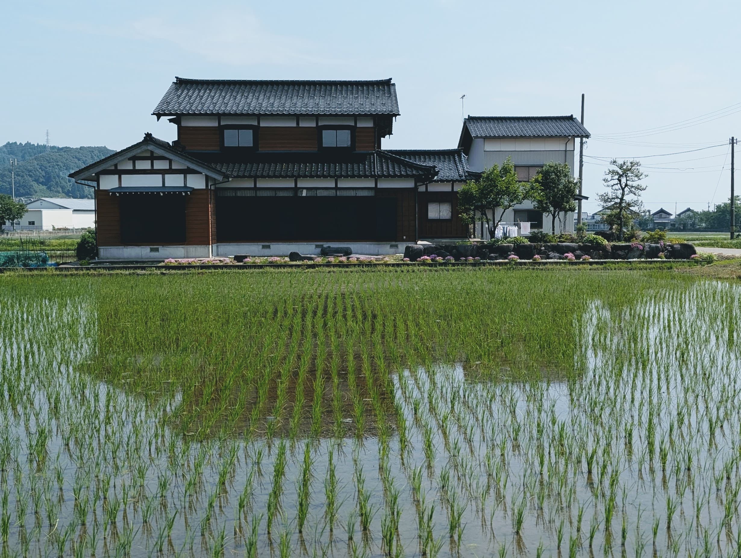 A traditional house reflected in a rice field.