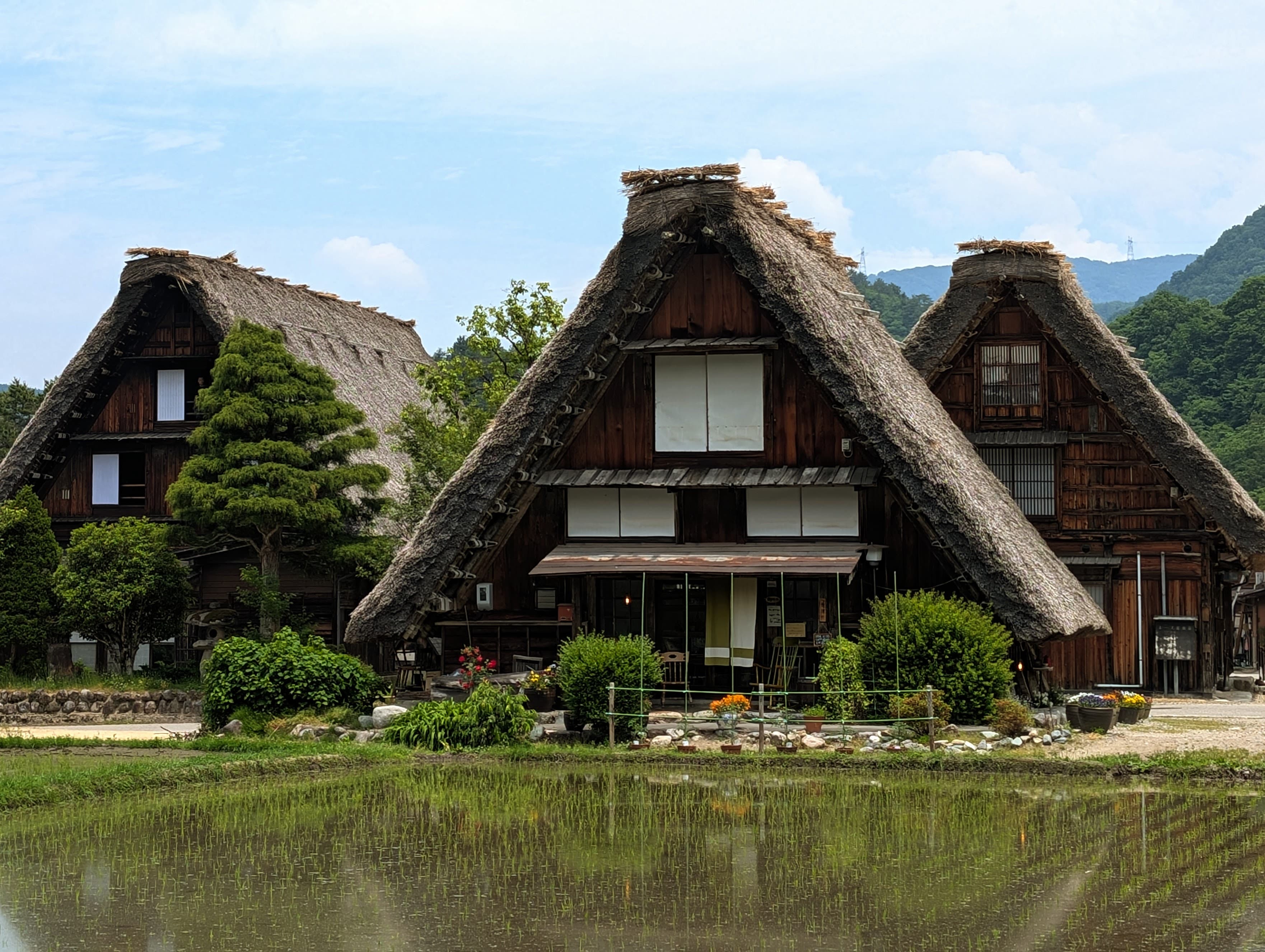 Thatched-roof houses beside a rice field in Shirakawa-go.